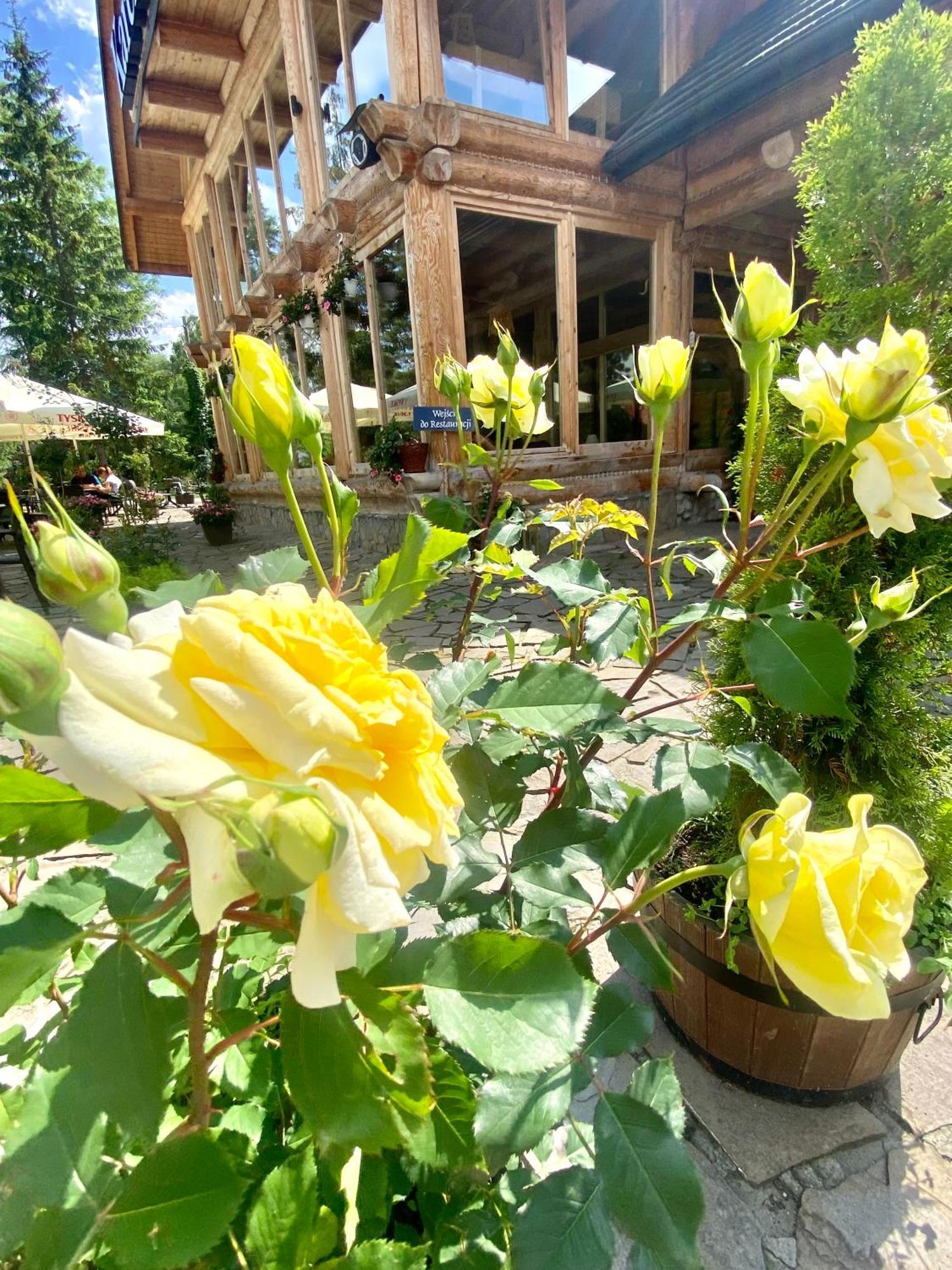 Zajazd Bialczanski Dom Wypoczynkowy Restauracja Bialka Tatrzanska Dış mekan fotoğraf